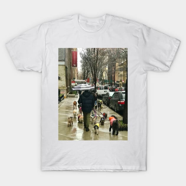 Dog Walking in NY T-Shirt by ephotocard